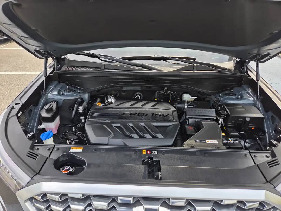 2021 Hyundai Palisade VIN: KMHR381ABNU345525 Lot: 400097397