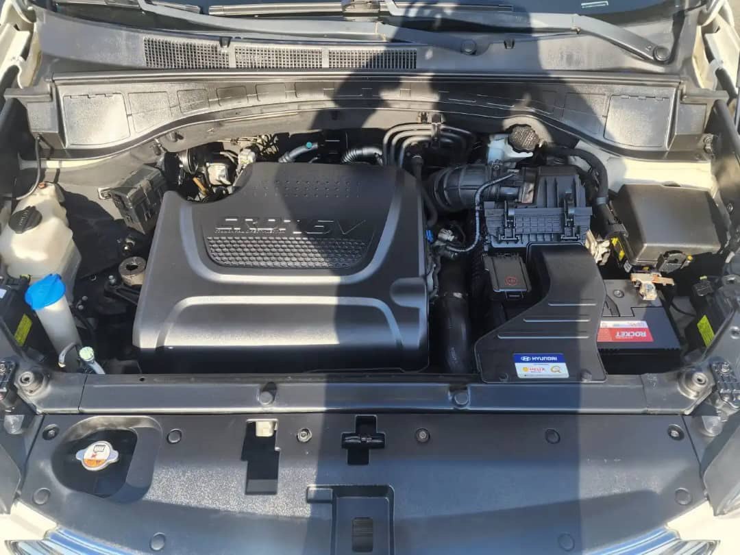 2015 Hyundai Maxcruz VIN: KMHSR81XBFU119815 Lot: 397810858