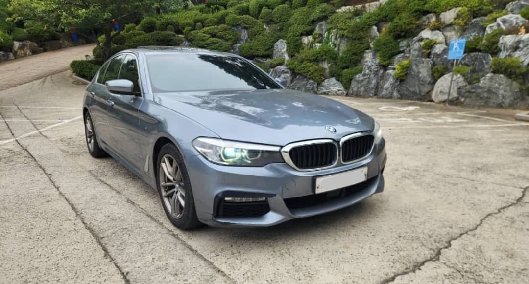 2017 BMW 5Er 520D VIN: WBAJC3109HG991310 Lot: 405180938