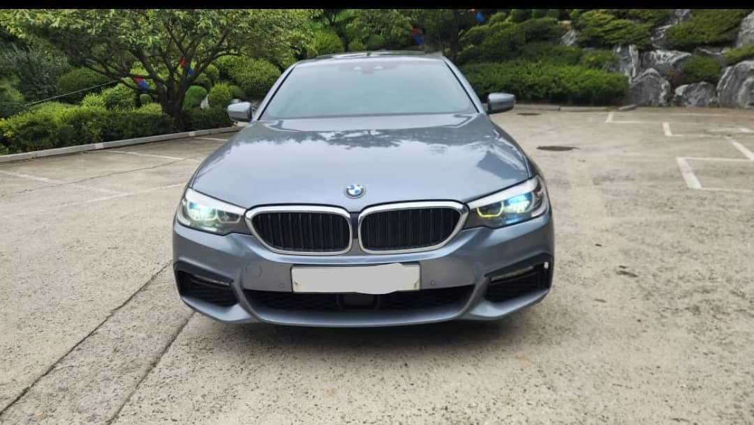 2017 BMW 5Er 520D VIN: WBAJC3109HG991310 Lot: 405180938