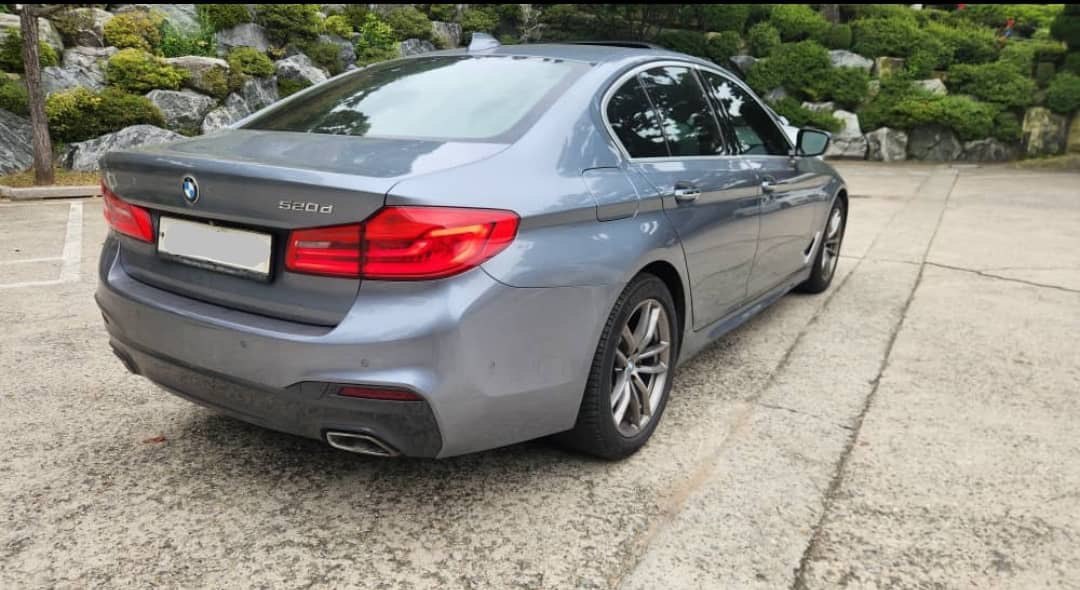 2017 BMW 5Er 520D VIN: WBAJC3109HG991310 Lot: 405180938