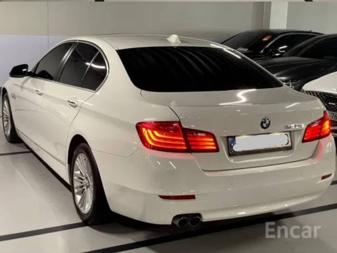 2014 BMW 520D VIN: WBA5E5109FD674309 Lot: 287006100