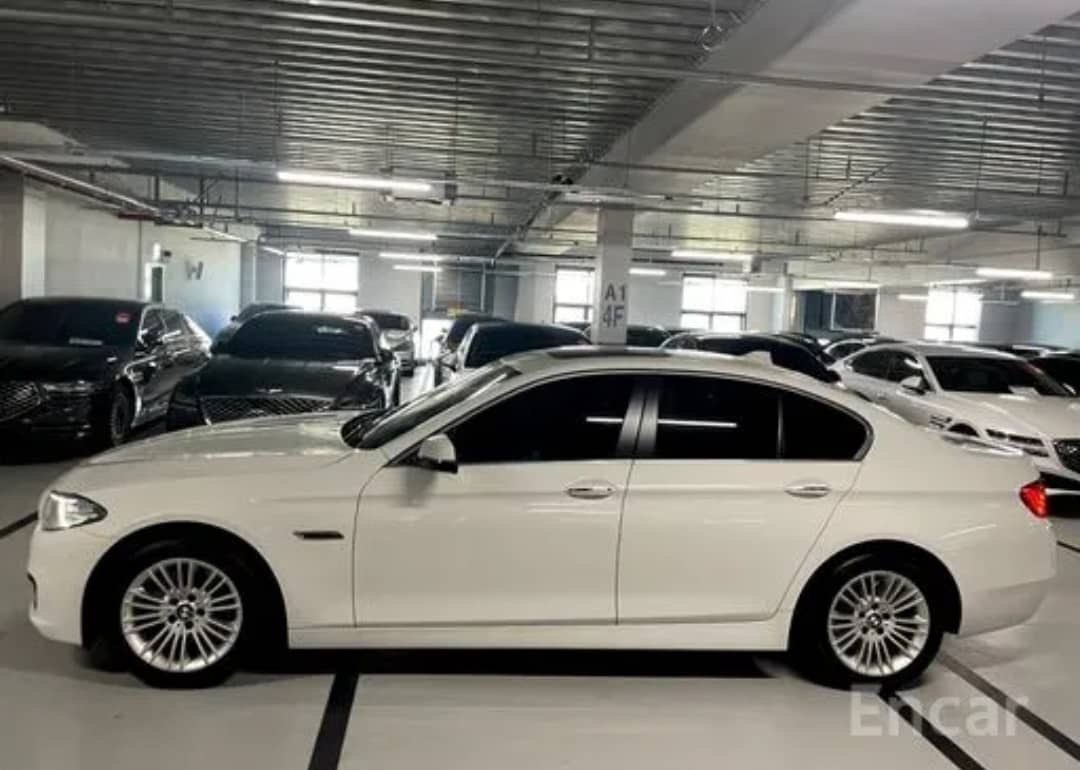 2014 BMW 520D VIN: WBA5E5109FD674309 Lot: 287006100