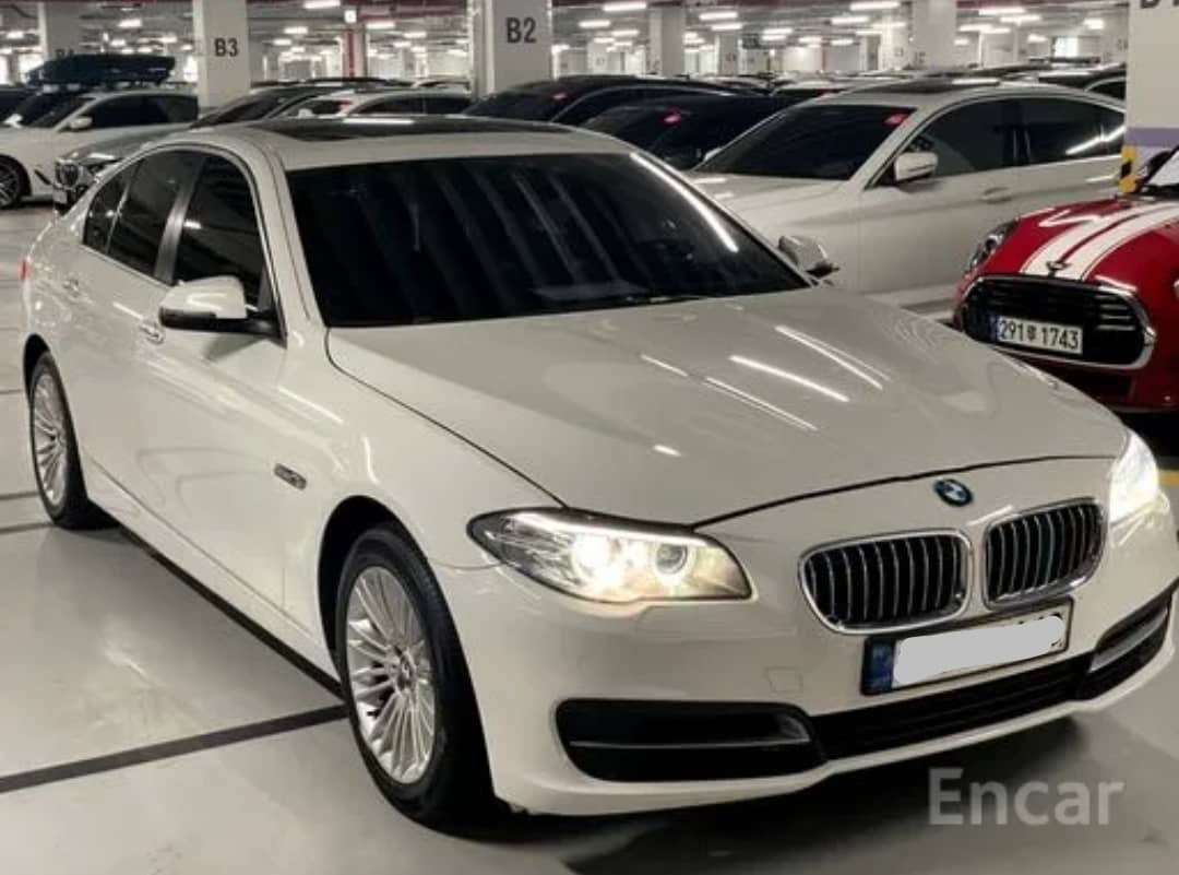 2014 BMW 520D VIN: WBA5E5109FD674309 Lot: 287006100