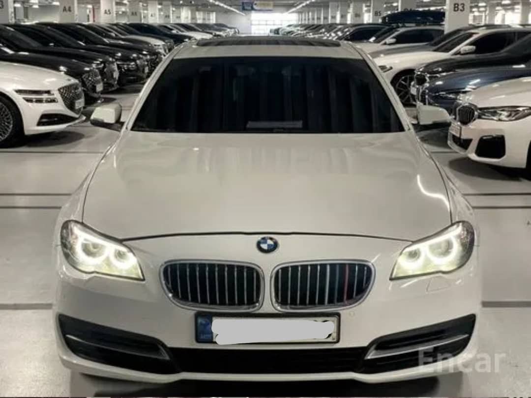 2014 BMW 520D VIN: WBA5E5109FD674309 Lot: 287006100