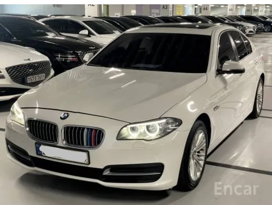 2014 BMW 520D VIN: WBA5E5109FD674309 Lot: 287006100