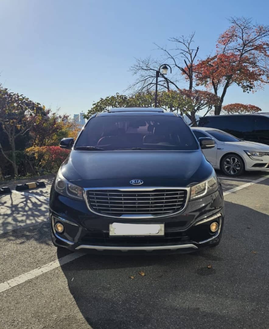 2015 Kia Carnival2 2.2D VIN: KNAME81ABGS167718 Lot: 287006258