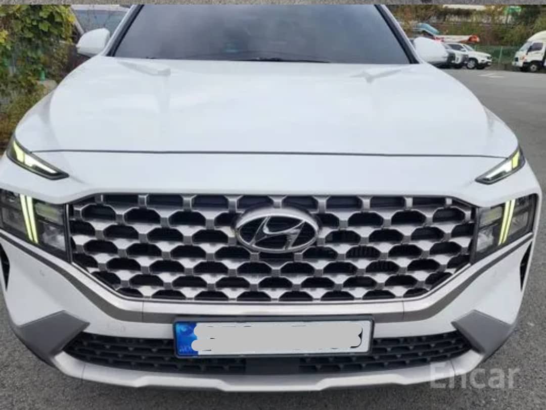 2021 Hyundai Santa Fe 2.2D VIN: KMHS381HGMU397415 Lot: 309406363