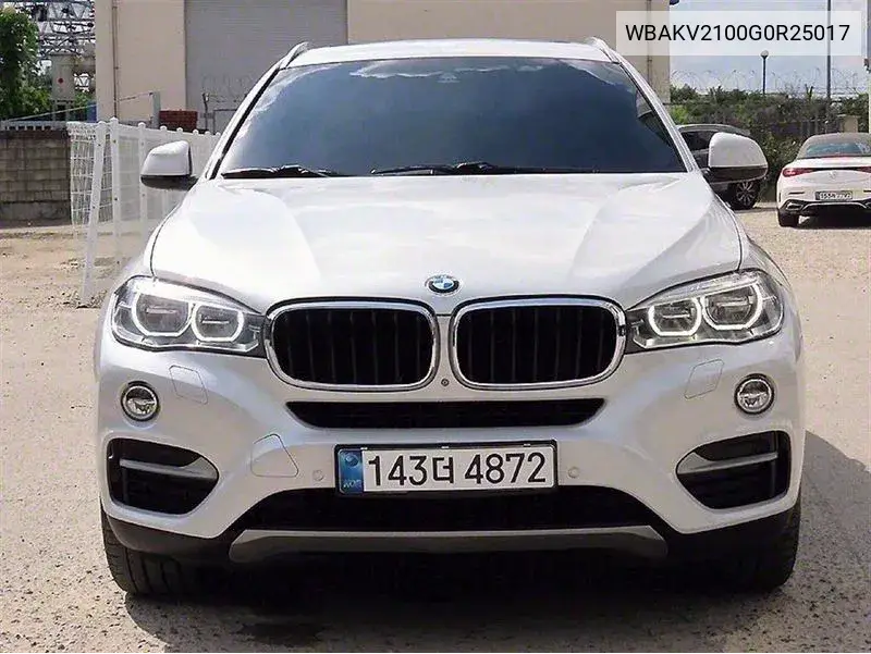 2015 BMW X6 VIN: WBAKV2100G0R25017 Lot: 40336687